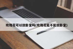 玫瑰花可以放卧室吗(玫瑰花能不能放卧室)