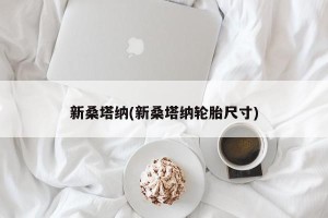 新桑塔纳(新桑塔纳轮胎尺寸)