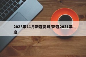 2023年11月新冠高峰/新冠2021年底
